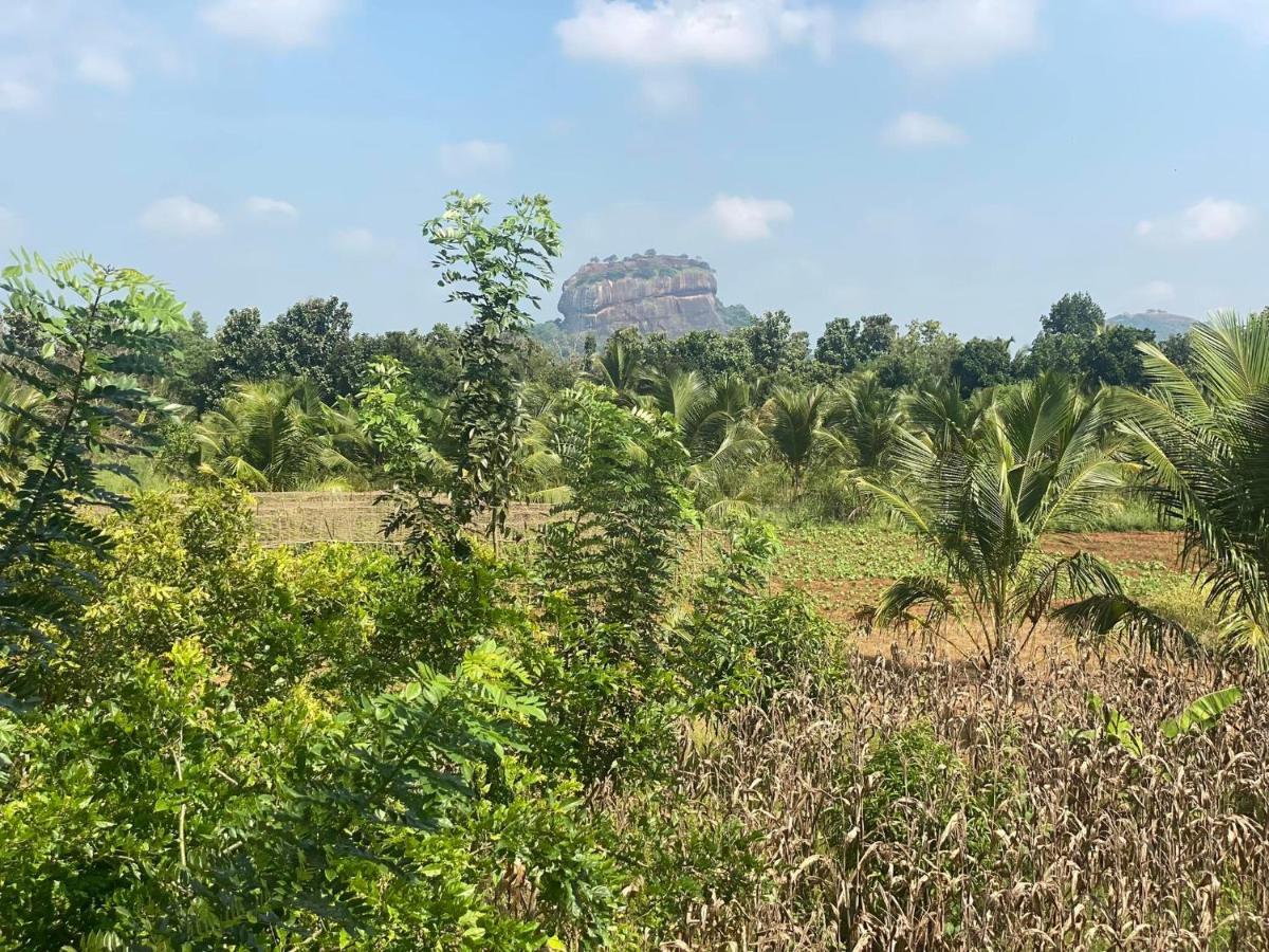 Chena Huts Eco Resort Sigiriya Buitenkant foto