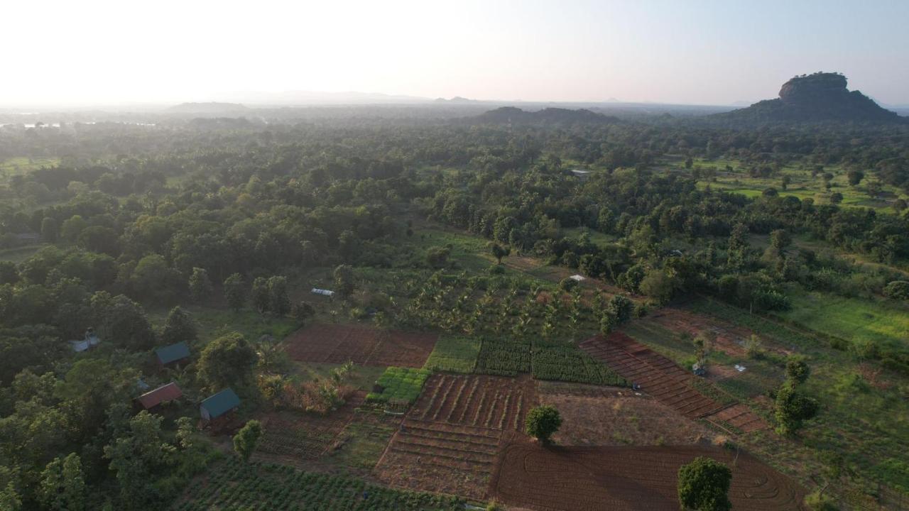 Chena Huts Eco Resort Sigiriya Buitenkant foto