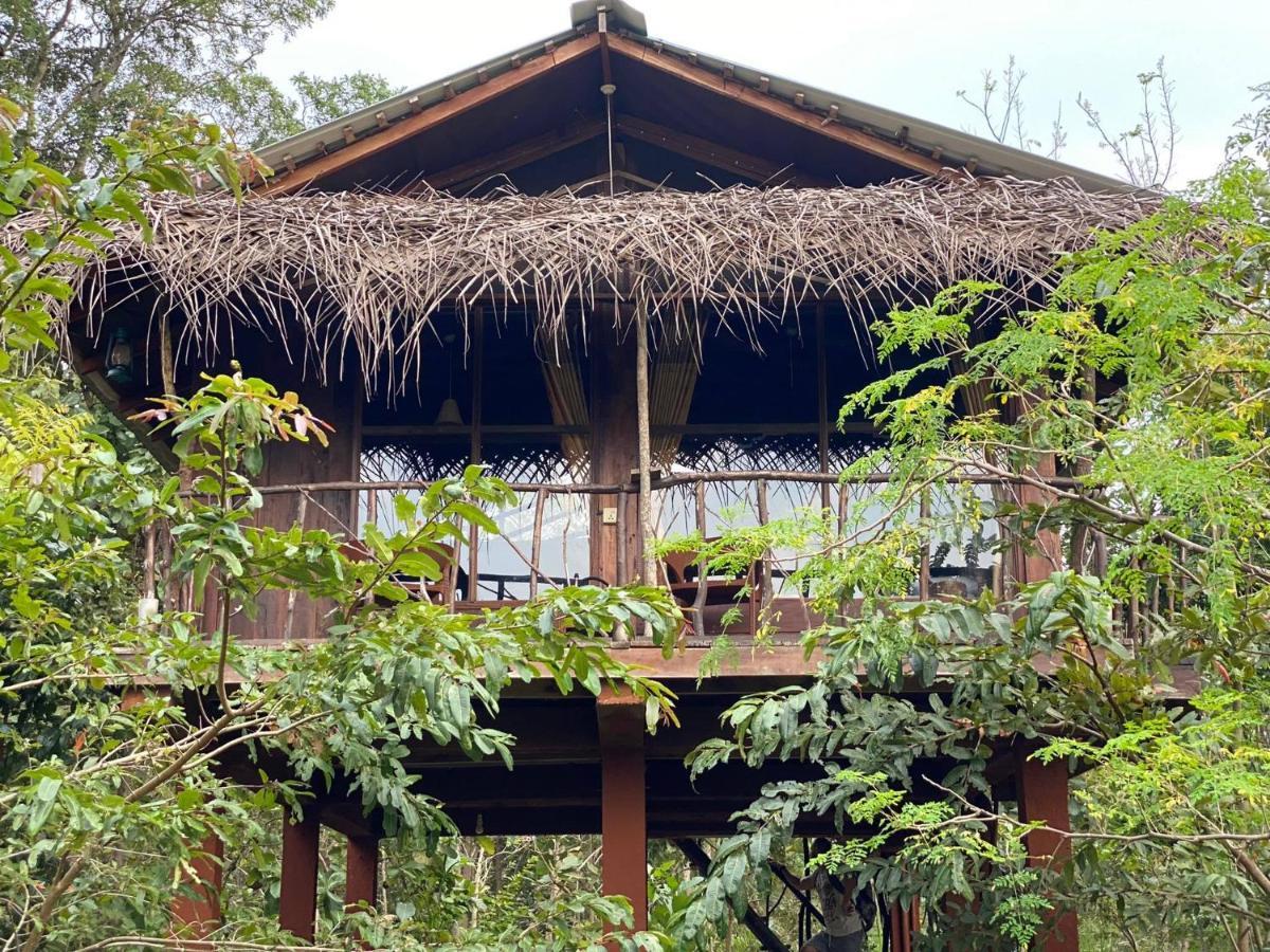 Chena Huts Eco Resort Sigiriya Buitenkant foto