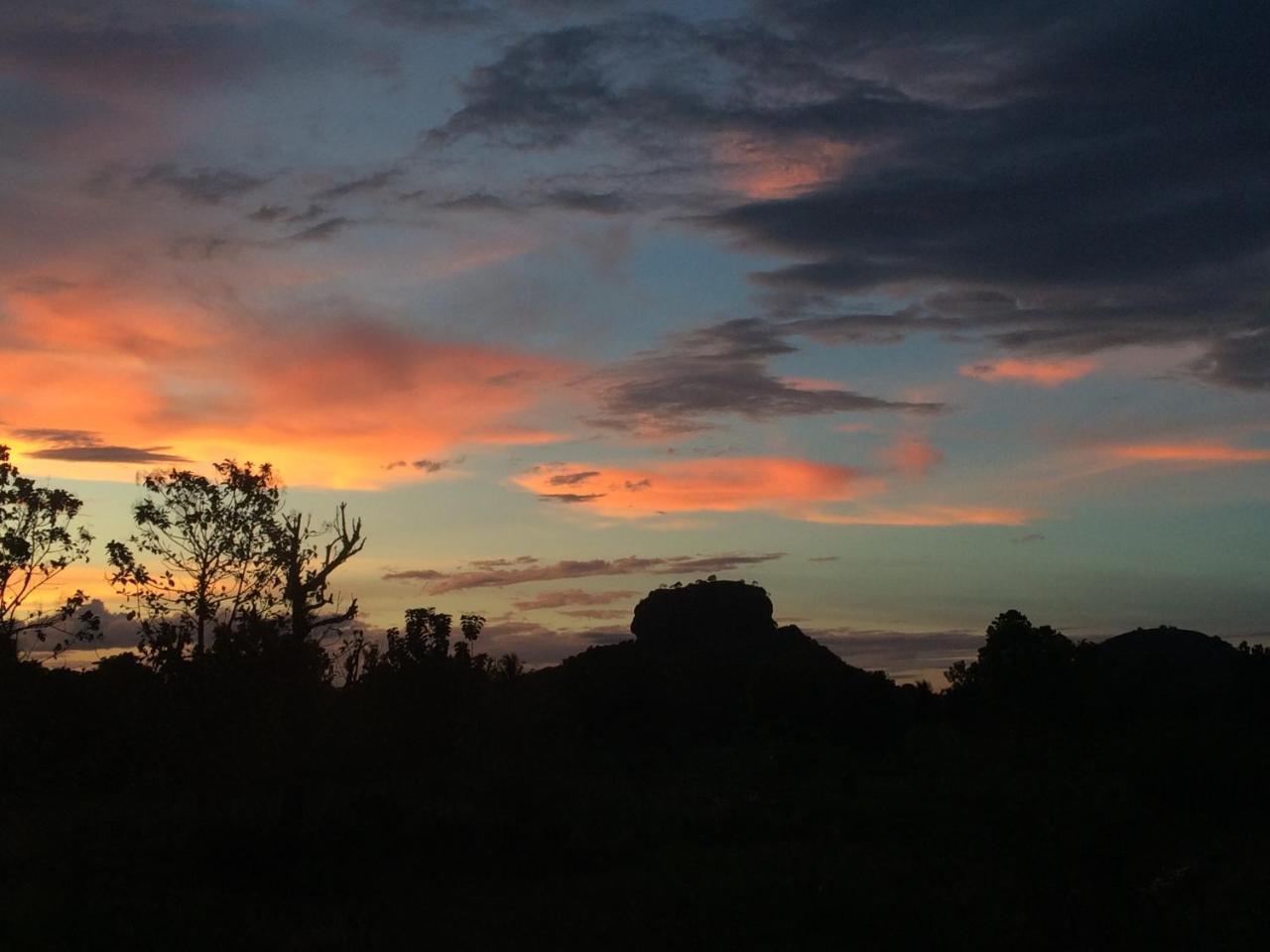 Chena Huts Eco Resort Sigiriya Buitenkant foto