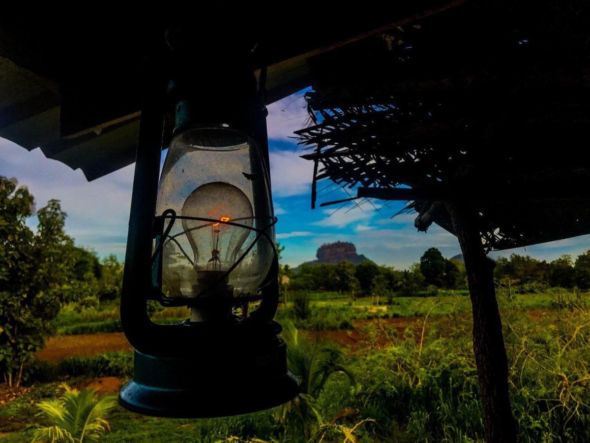 Chena Huts Eco Resort Sigiriya Buitenkant foto